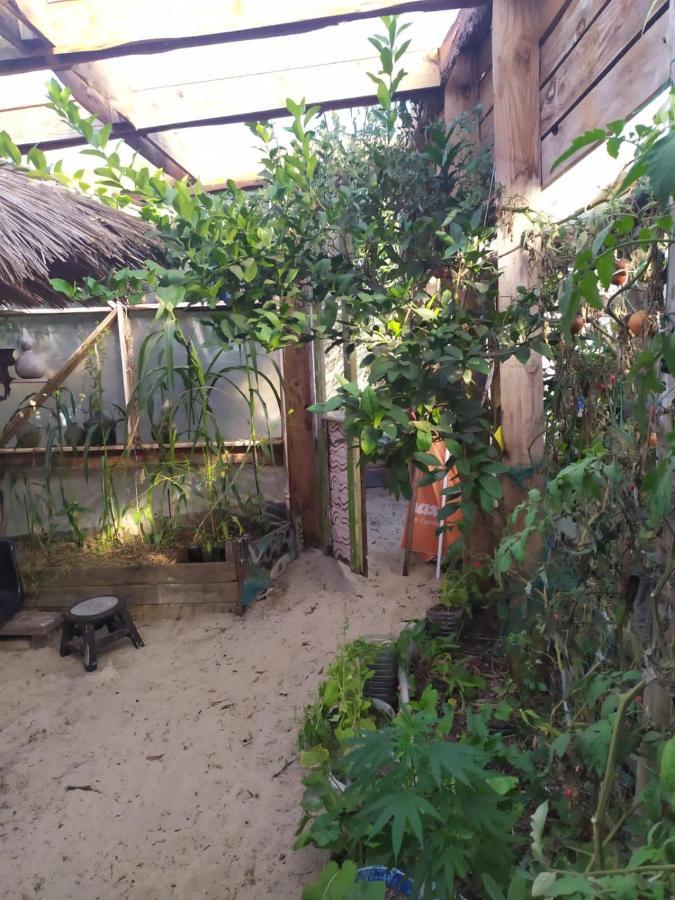 Casa Candombe Y Mar Барра-де-Валисас Экстерьер фото